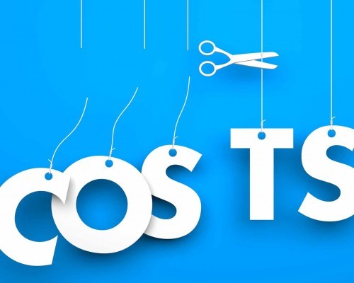 cutting costs 500x400 - Koszty założenia strony Internetowej